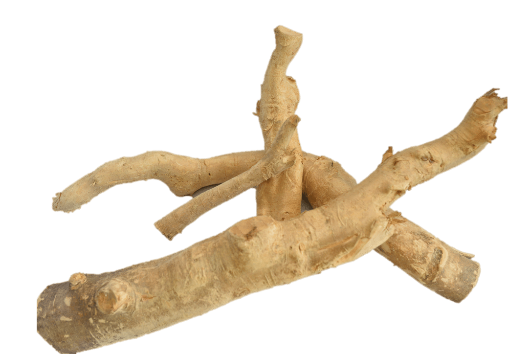 tongkat ali razabioherb